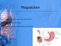 /album/matspjalkningssystemet/a6-matspja%cc%88lkningssystemet-008-jpeg/
